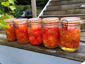 conserve lactofermentation